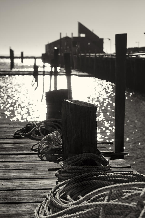 Provincetown Marina Photograph by Darius Aniunas