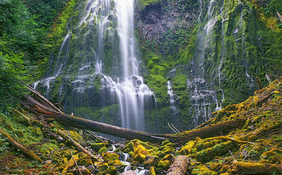 Proxy Falls, Cascade Mountains Photograph by Buddy Mays | Fine Art America