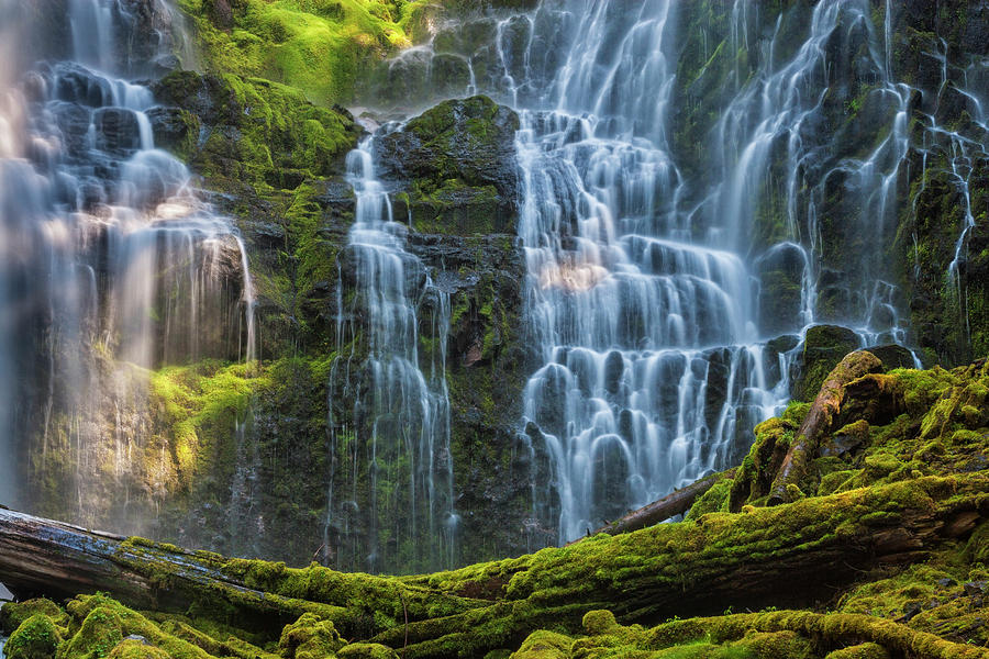Nature Photograph - Proxy Falls Dappled in Light by Mark Kiver