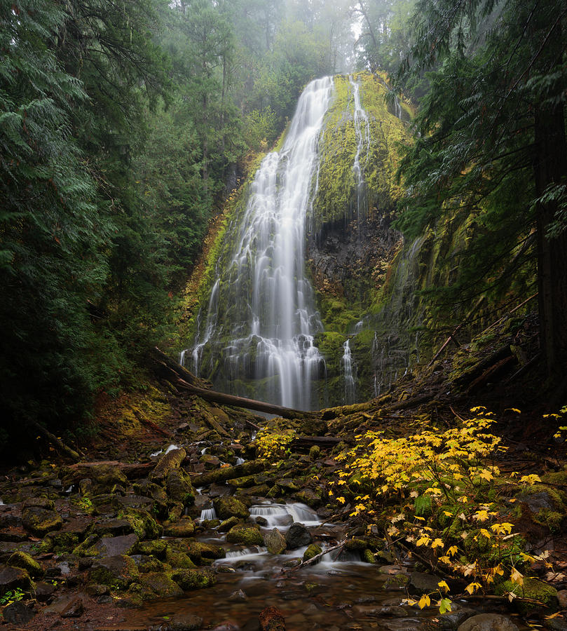 Proxy Falls in Autumn Photograph by Brian Bonham