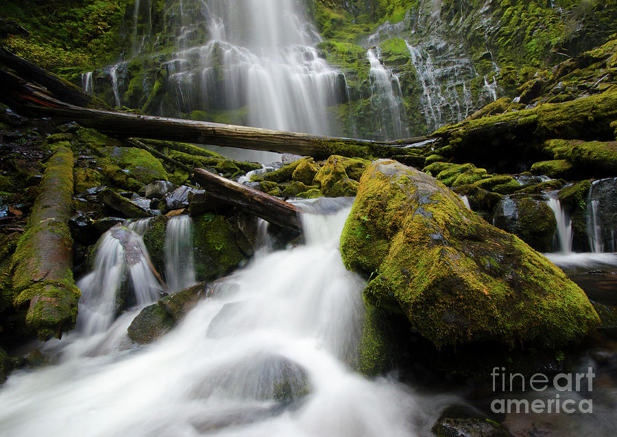 Proxy Falls Oregon 1 Photograph by Bob Christopher