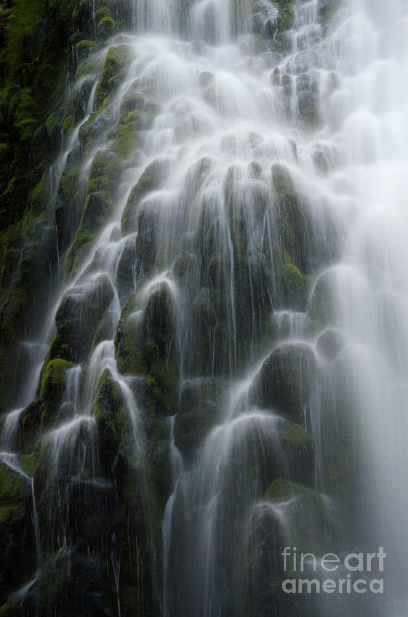 Landscape Photograph - Proxy Falls Oregon 3 by Bob Christopher