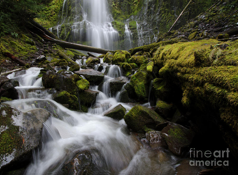 Proxy Falls Oregon 5 Photograph by Bob Christopher - Fine Art America