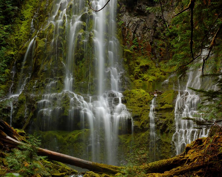 Proxy Falls Photograph by Scott Gould