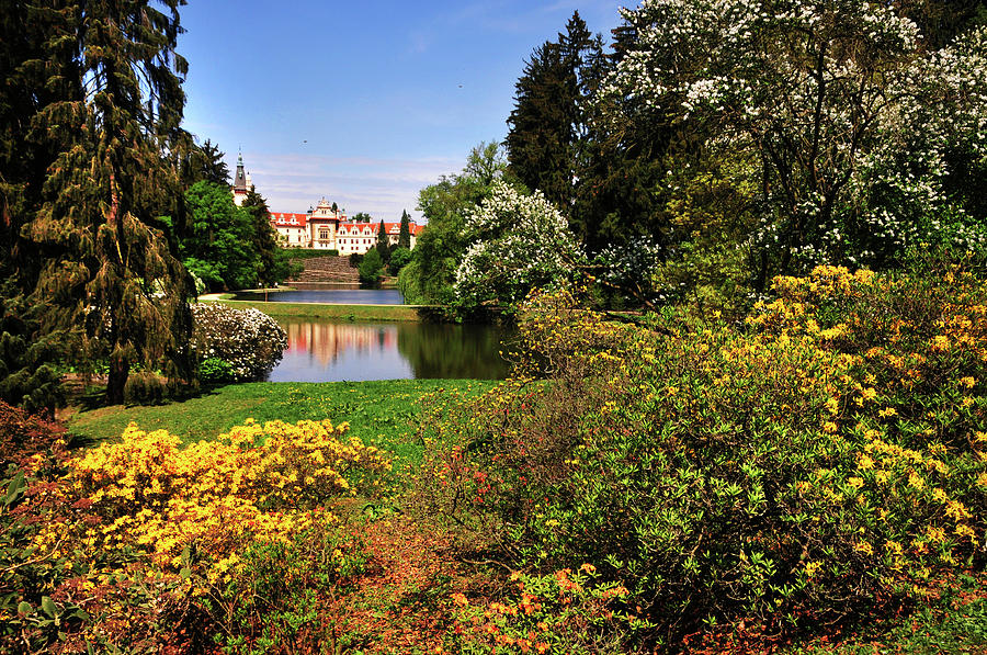 Pruhonice Park with Castle in Spring Time Photograph by Jenny Rainbow