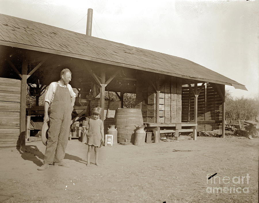 Shed Photograph - Prune  dipping shed near Gilroy 1900 by Monterey County Historical Society