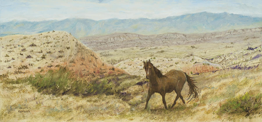 Nature Painting - Pryor Mountain Wild Mustang by Sharon Karlson
