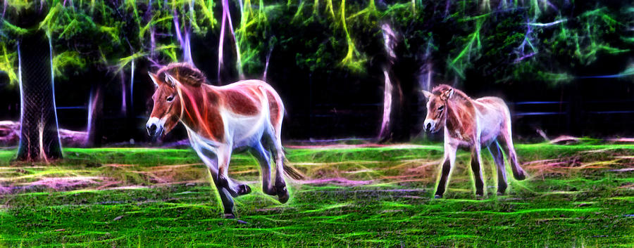 Animal Photograph - Przewalskis Horse Feels The Earth by Miroslava Jurcik