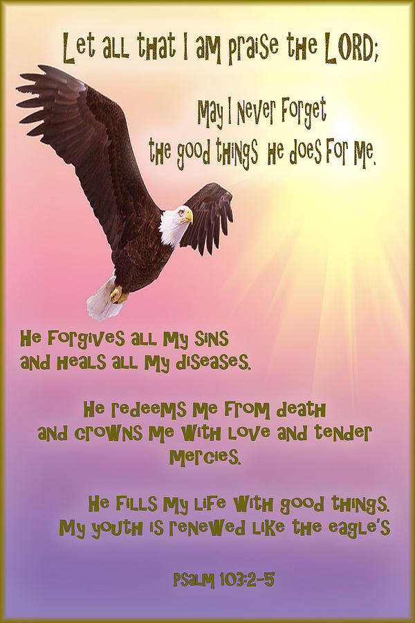 Eagle Photograph - Psalm 103 by SGLY Ministry Eagle Photograph - Psalm 103 by SGLY Ministry
