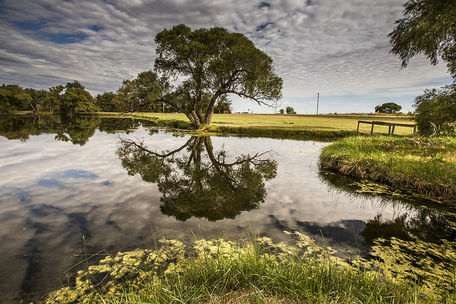 Psalm 23 Photograph by Chris Harris | Fine Art America