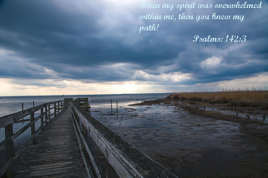 Scripture Photograph - Psalms 142 by William Bentley