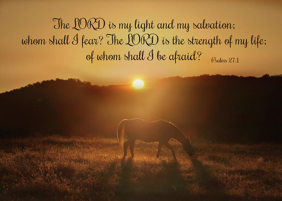 Psalms The Lord is my Light Horse in the Sunrise Bible Spiritual Verse