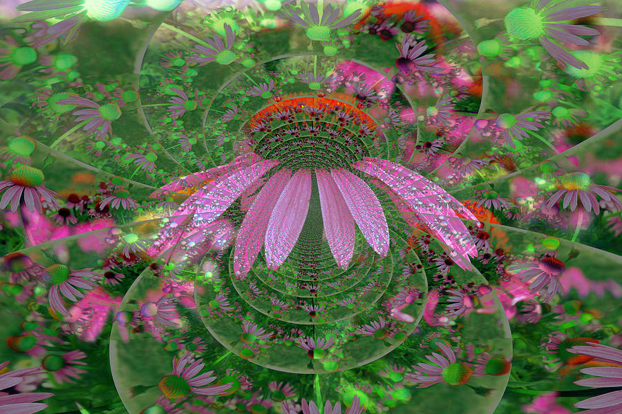 Psychedelic Cone Flowers Digital Art by Kay Novy