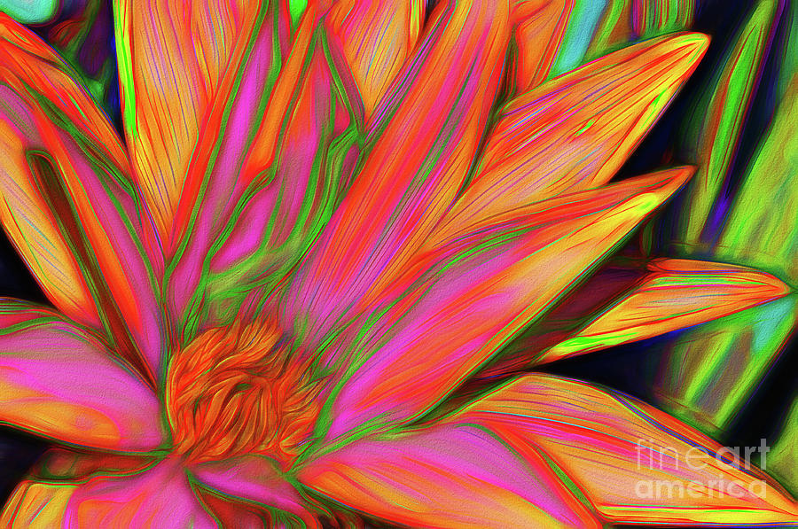Psychedelic Daisy by Kaye Menner Photograph by Kaye Menner