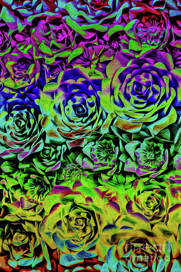 Psychedelic Flower Rows Photograph by Sandy Moulder