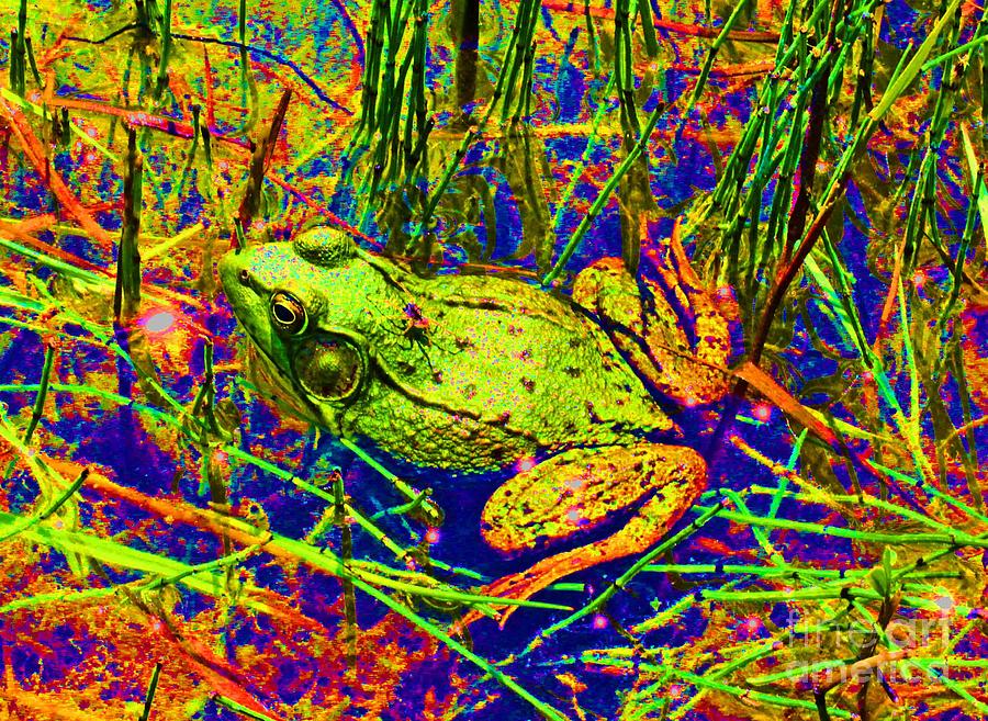 Psychedelic Frog  Photograph by David Frederick