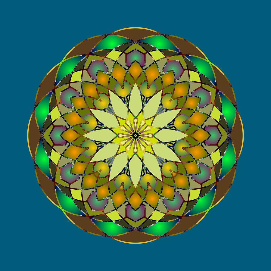 Psychedelic Mandala 008 A Digital Art by Larry Capra - Fine Art America