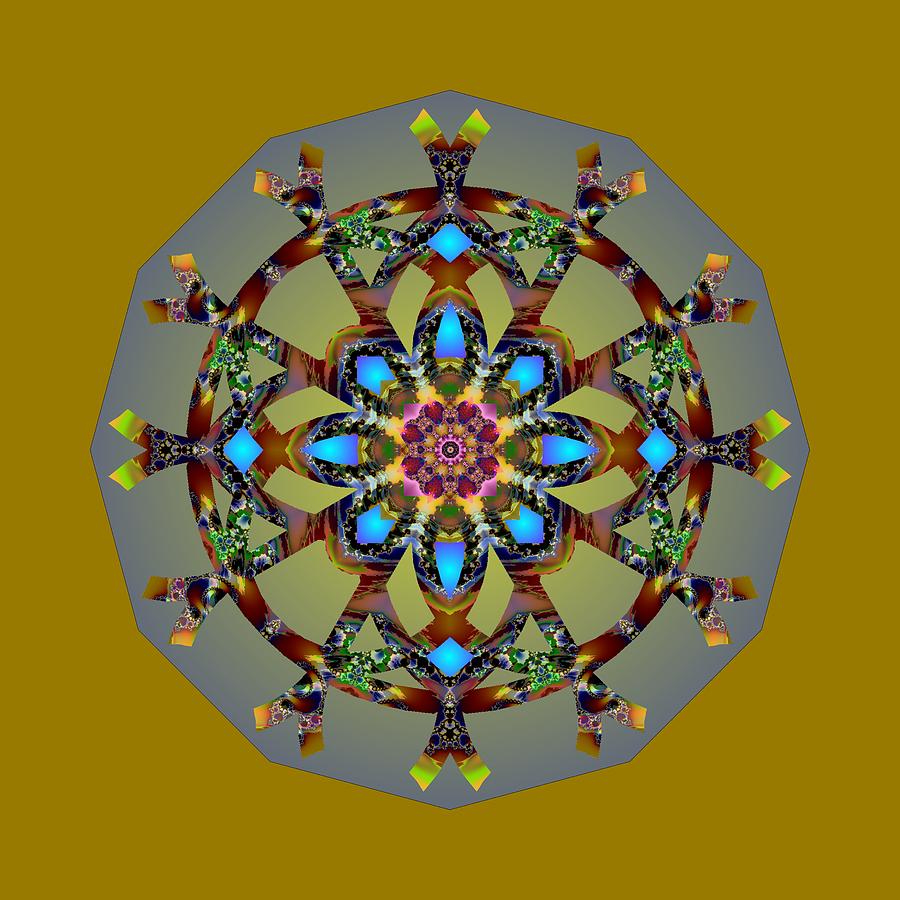 Psychedelic Mandala 010 B Digital Art by Larry Capra