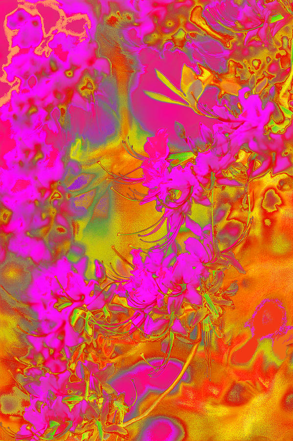 Psychedelic Spring Azaleas Photograph by Suzanne Powers