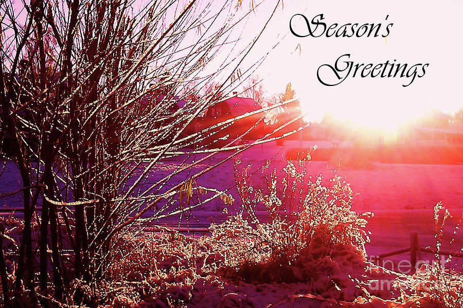 Psychedelic Winter Seasons Greetings Photograph by Martin Howard