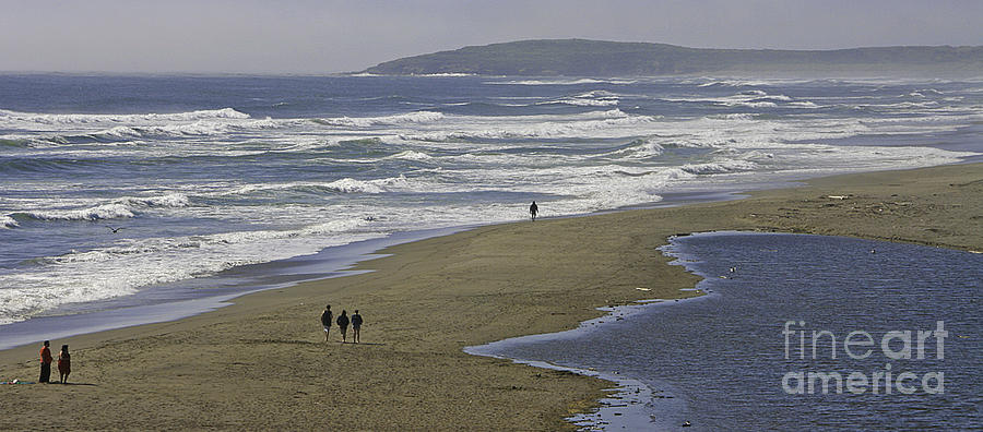 Pt. Reyes Photograph by Joyce Creswell