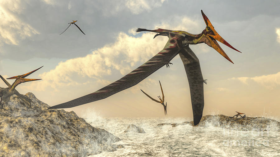 Pteranodon Bird Flying Above Ocean Digital Art by Elena Duvernay