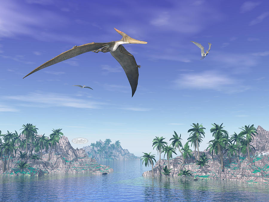 Pteranodon Birds  - 3d Render Digital Art