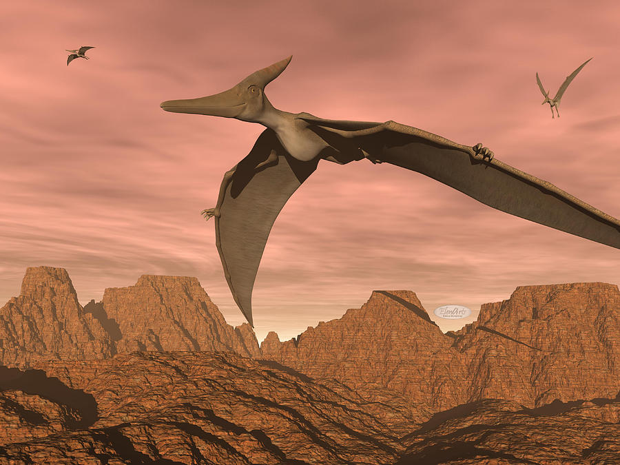 Pteranodon Dinosaurs Flying 3d Render Digital Art By Elenarts Elena