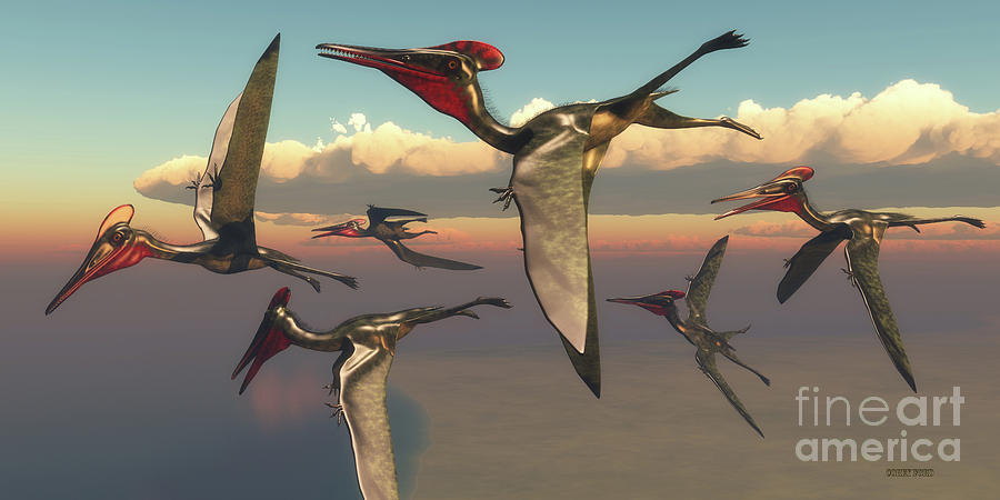 Pterodactylus Pterosaurs in Flight Digital Art by Corey Ford
