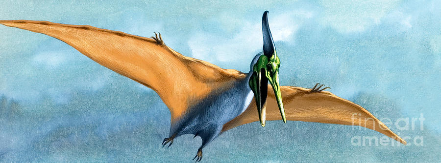 Jurassic Park Painting - Pterosaur Prehistoric Bird by David Nockels