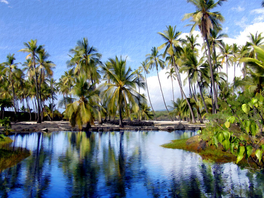 Paradise Photograph - Pu uhonua O Honaunau pond by Kurt Van Wagner