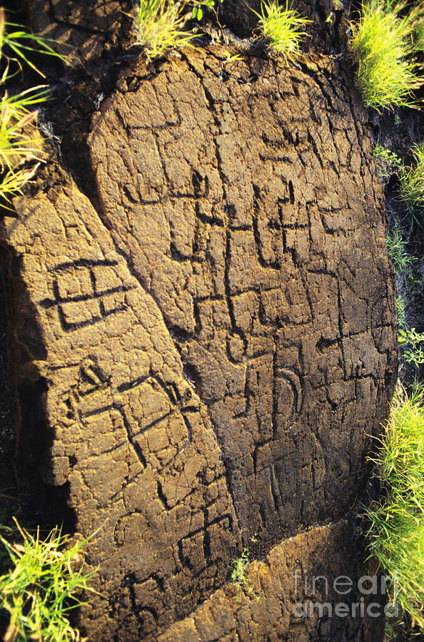Ancient Photograph - Puako Petroglyphs by Mary Van de Ven - Printscapes