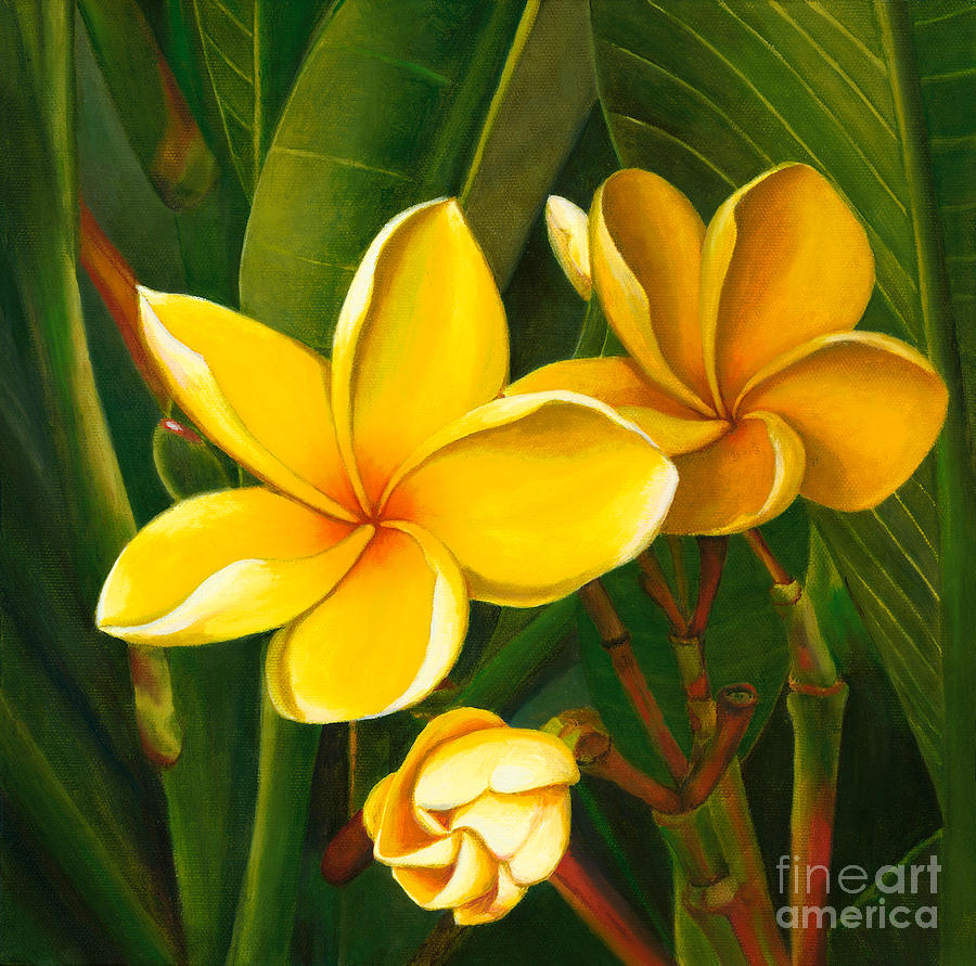 Jungle Painting - Puamelia Mele - Yellow Plumerias by Pati ONeal