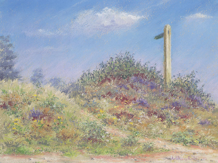 Flower Pastel - Public Footpath by Anthony Rule