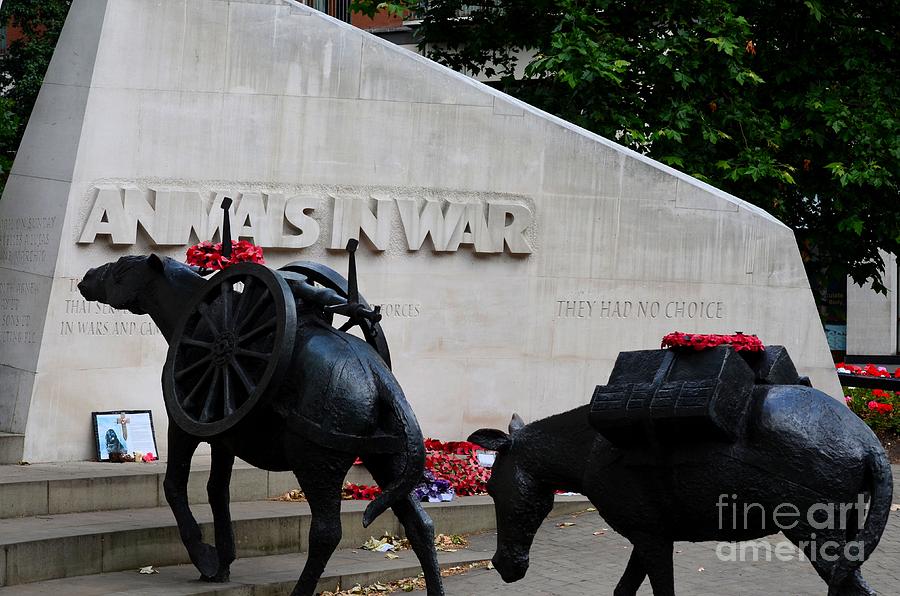 Animal Photograph - Public memorial honoring military animals in war London England by Imran Ahmed