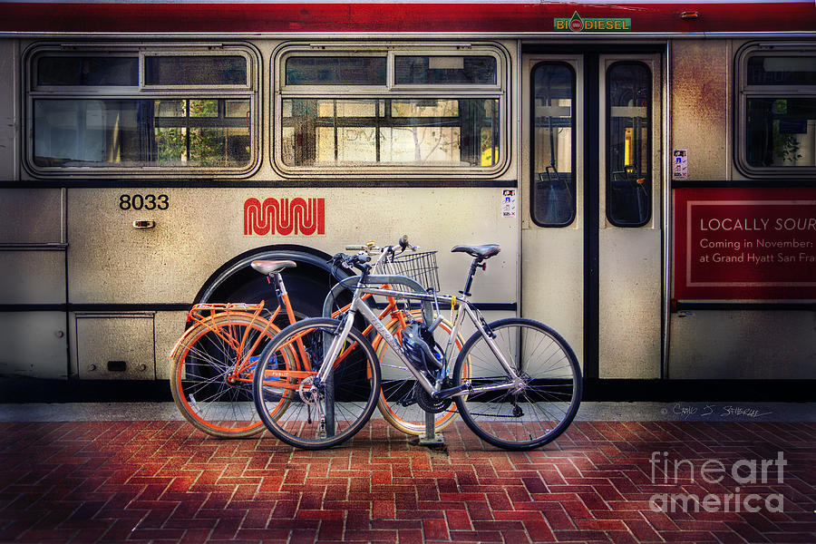 Public Tier Bicycles Photograph by Craig J Satterlee