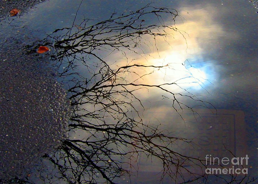 Puddle Art Digital Art by Dale   Ford