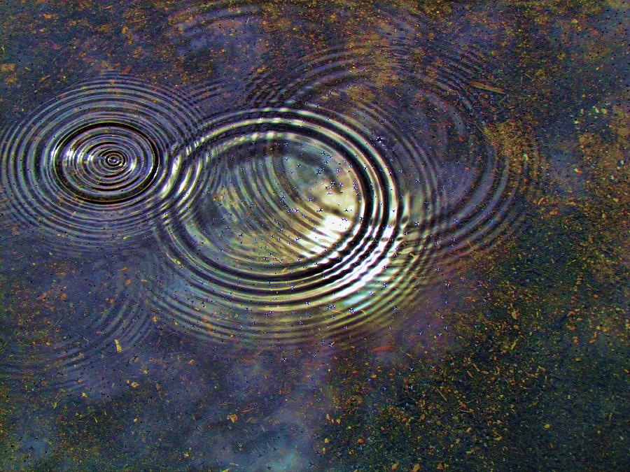 Water Ripple Photograph - Puddle Corona by Shannon Story