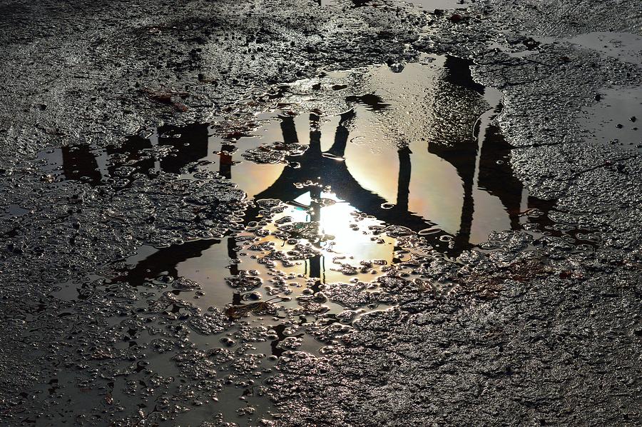 Puddle Reflection  Photograph by Lyle Crump
