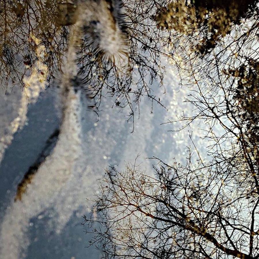 Puddles Photograph - Puddle Reflection, Taken This Morning by Jori Reijonen