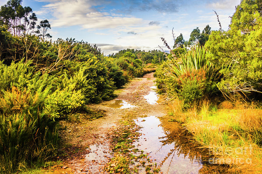 Puddles and outback tracks Photograph by Jorgo Photography