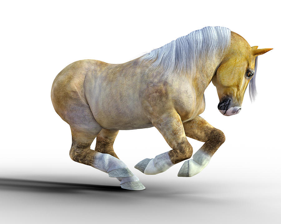 Horse Digital Art - Pudge by Betsy Knapp
