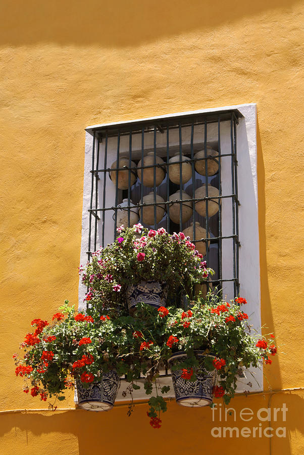 PUEBLA WINDOW Mexico Photograph by John  Mitchell