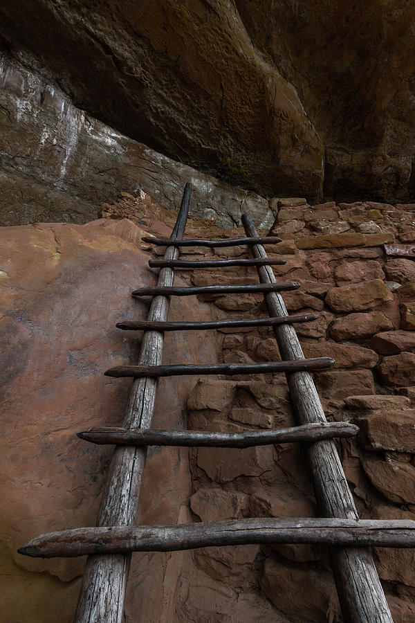 Mesa Verde National Park Photograph - Pueblo Ladder by Joseph Smith