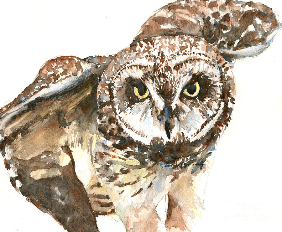 Pueo Hawaiian Owl Painting by Claudia Hafner