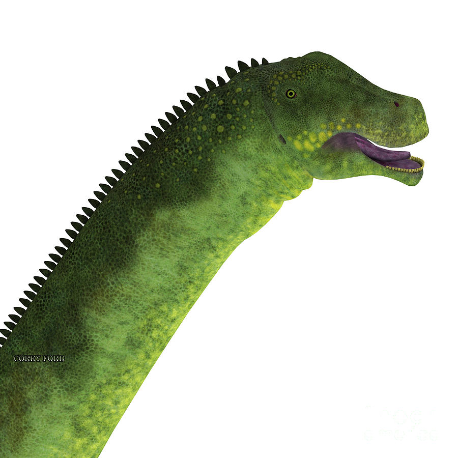 Puertasaurus Dinosaur Head Painting