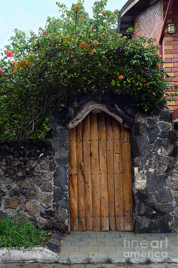 Galapagos Photograph - Puerto Ayora Door in the Galapagos by Catherine Sherman