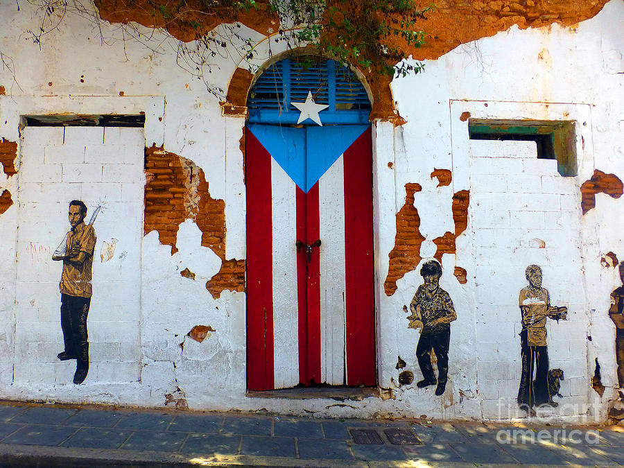 Puerto Rican Flag on wooden door Photograph by Steven Spak