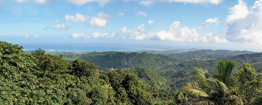 Puerto Rico Panorama Photograph by Bob Slitzan