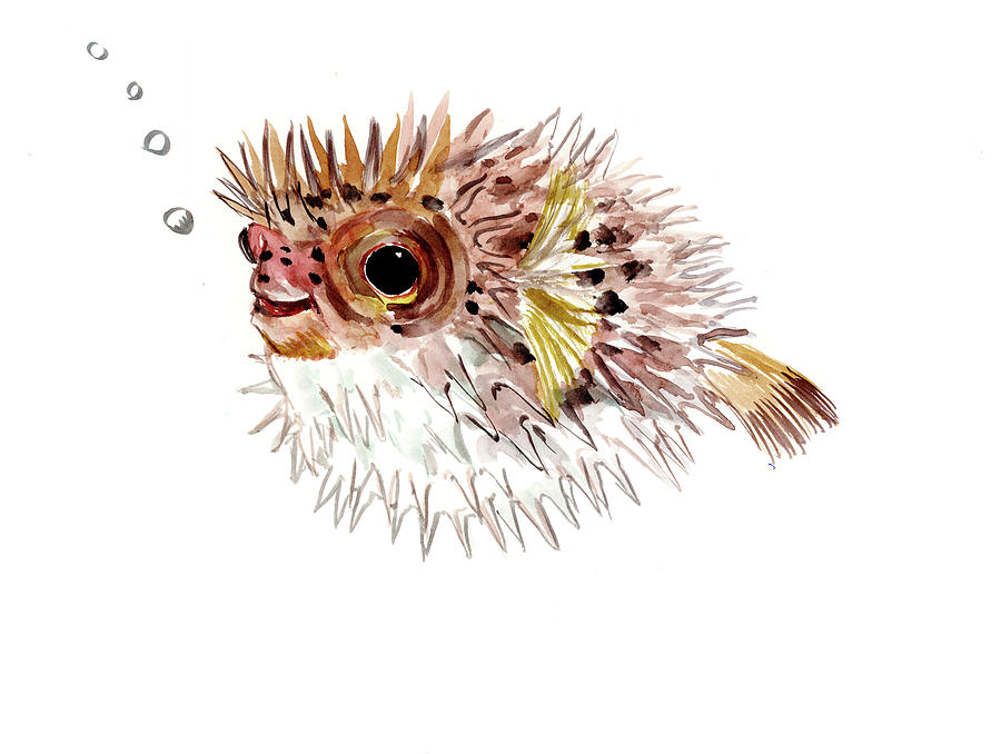 Pufferfish Painting by Suren Nersisyan